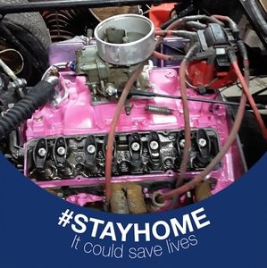 Meet your Posher, Diana